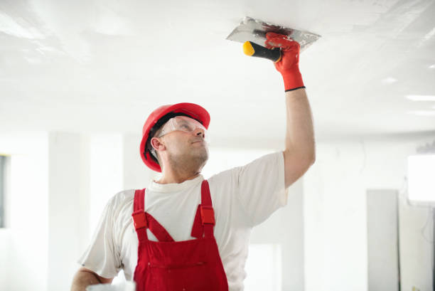 Best Commercial Mold Inspection  in Cottonwood, CA
